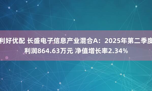 利好优配 长盛电子信息产业混合A：2025年第二季度利润864.63万元 净值增长率2.34%