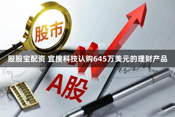 股股宝配资 宜搜科技认购645万美元的理财产品