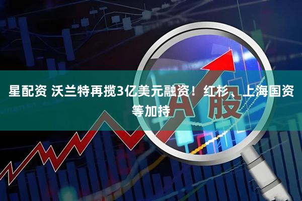 星配资 沃兰特再揽3亿美元融资！红杉、上海国资等加持